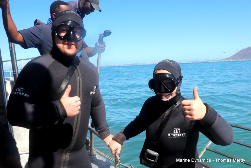 Shark cage diving, South Africa, Gansbaai