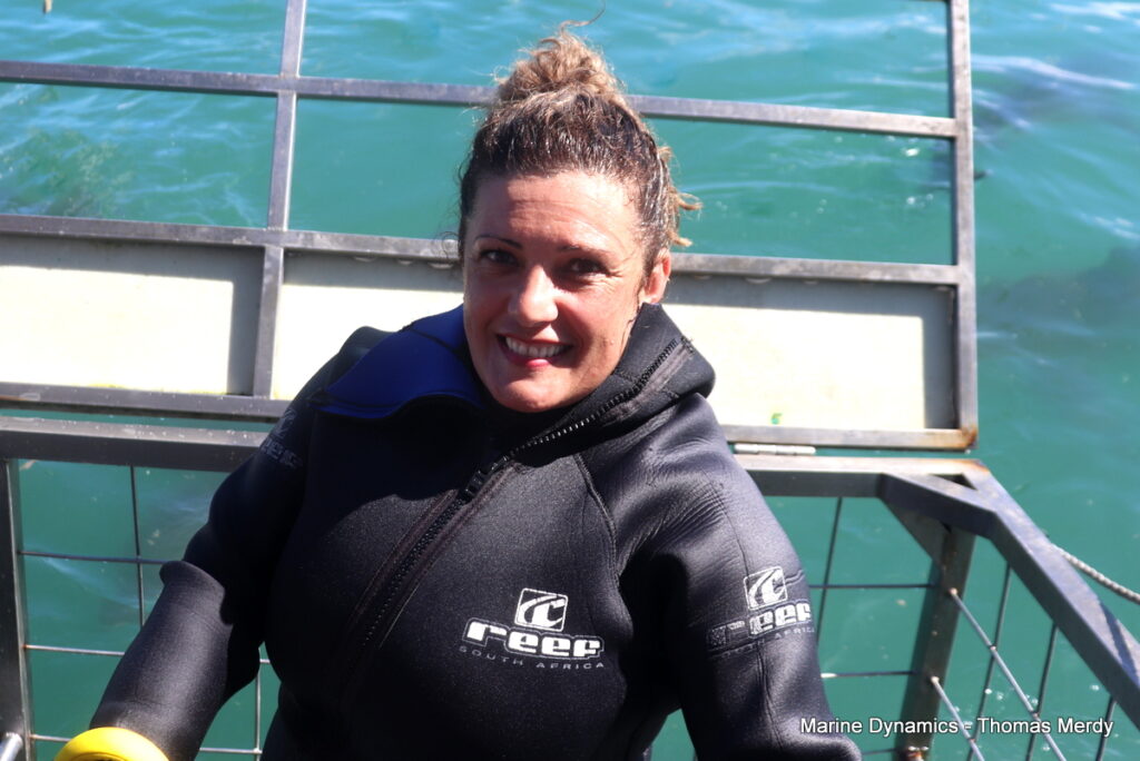 Shark cage diving, South Africa, Gansbaai