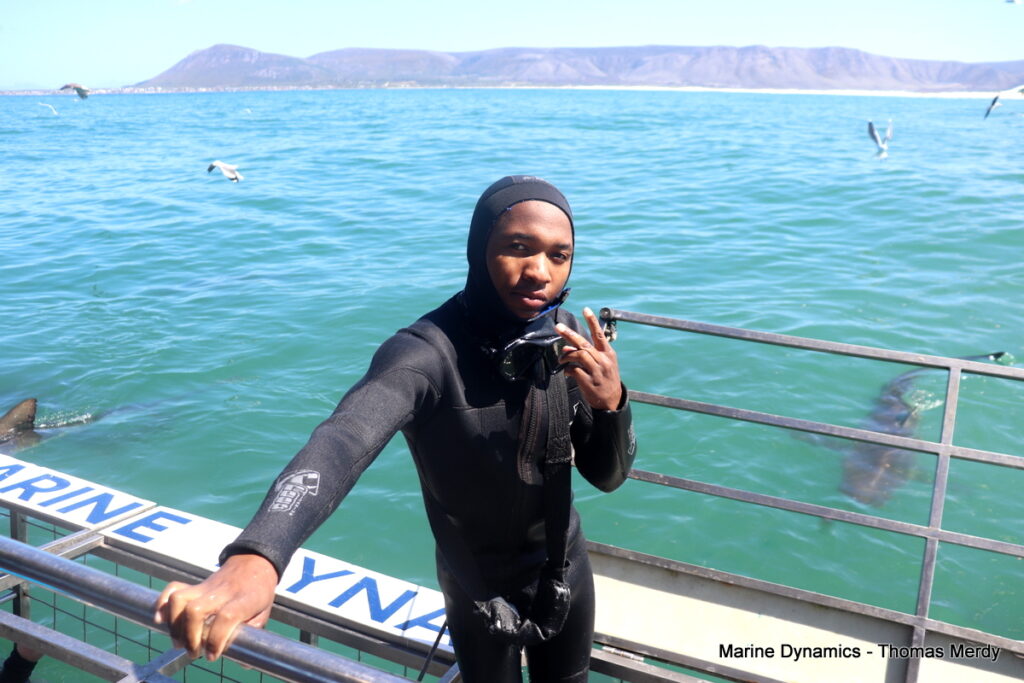 Shark cage diving, South Africa, Gansbaai