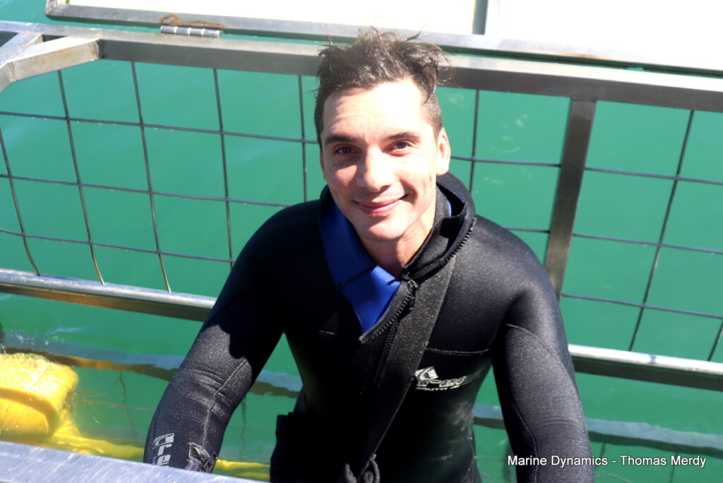 Shark cage diving, South Africa, Gansbaai