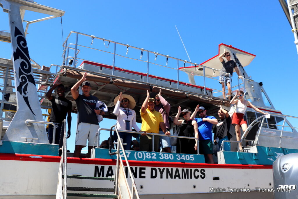 Shark cage diving, South Africa, Gansbaai