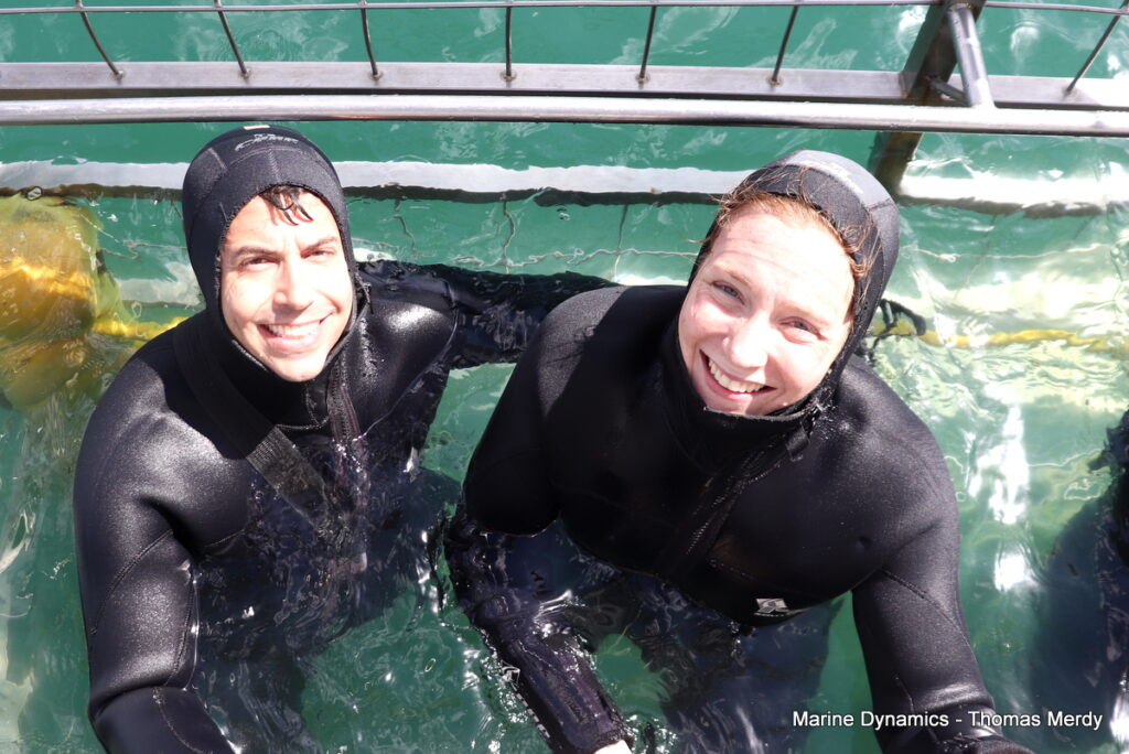 Shark cage diving, South Africa Gansbaai