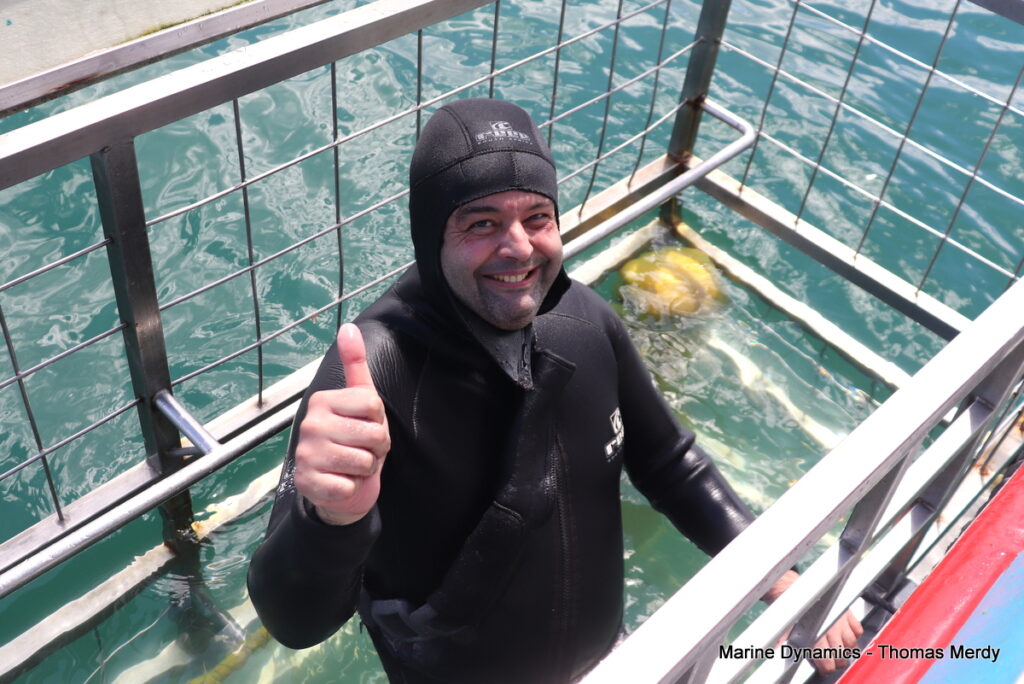 Shark cage diving, South Africa Gansbaai