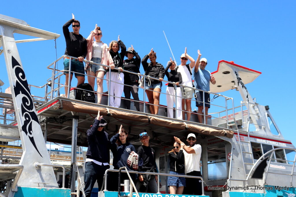 Shark cage diving, South Africa Gansbaai