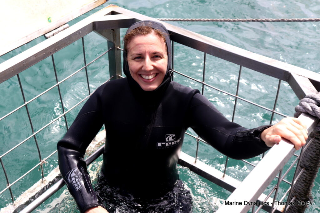 Shark cage diving, South Africa, Gansbaai