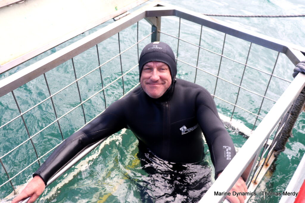 Shark cage diving, South Africa, Gansbaai