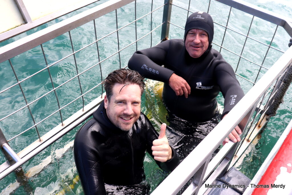 Shark cage diving, South Africa, Gansbaai