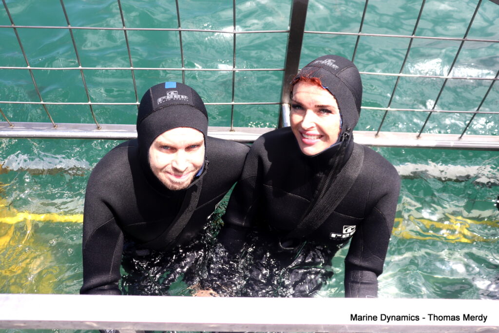 Shark cage diving, South Africa, Gansbaai