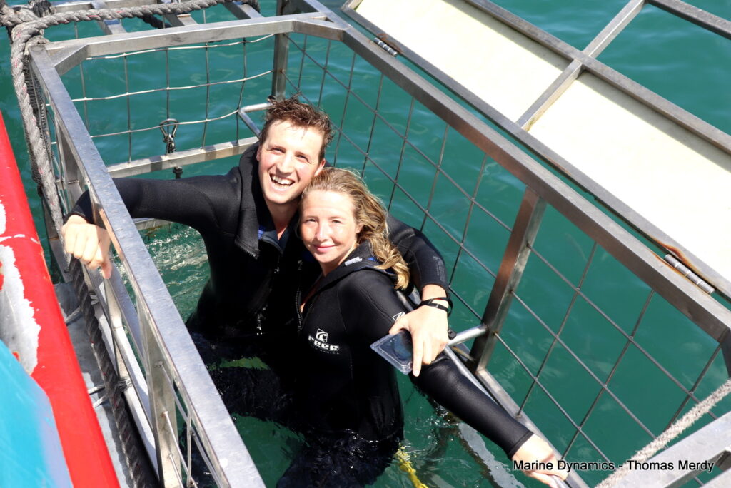 Shark cage diving, South Africa, Gansbaai