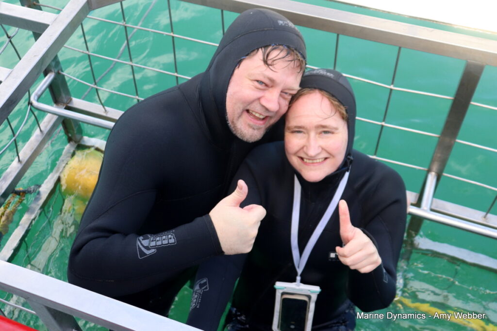 Shark cage diving, Gansbaai, South Africa