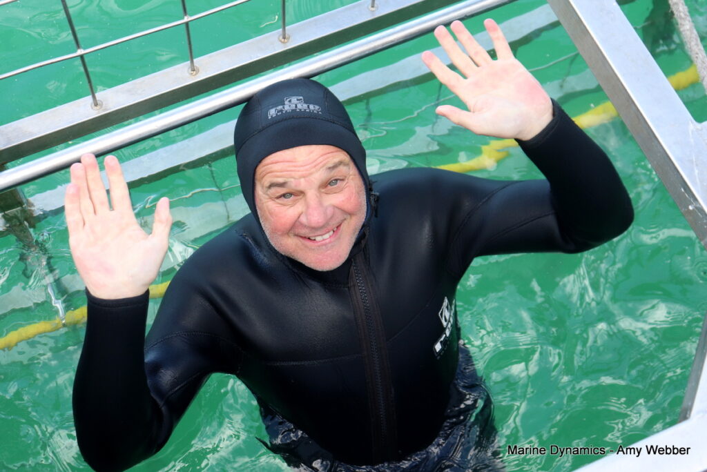 Shark cage diving, Gansbaai, South Africa