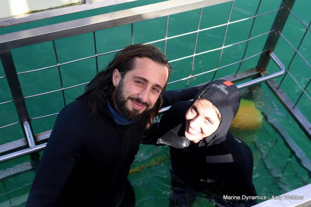 Shark cage diving, Gansbaai, South Africa