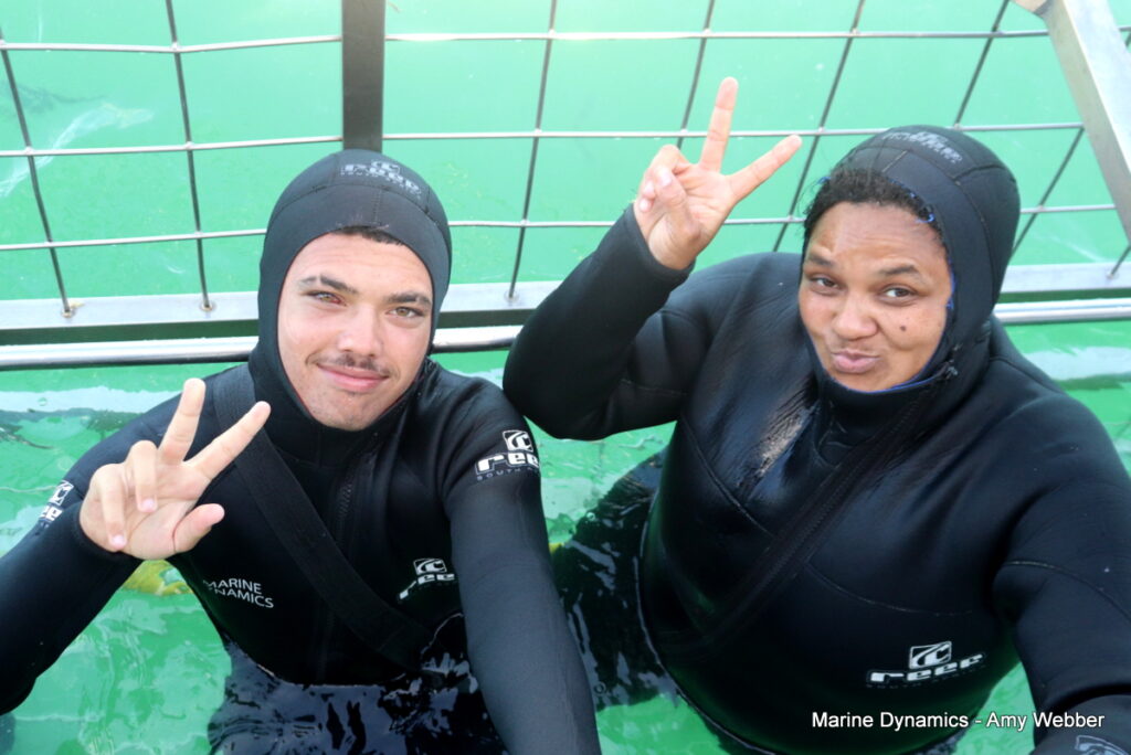 Shark cage diving, Gansbaai, South Africa