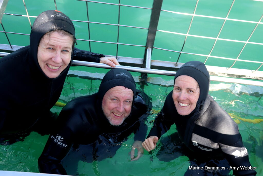 Shark cage diving, Gansbaai, South Africa