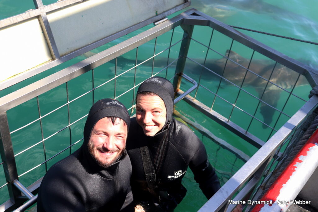 Shark cage diving, Gansbaai, South Africa
