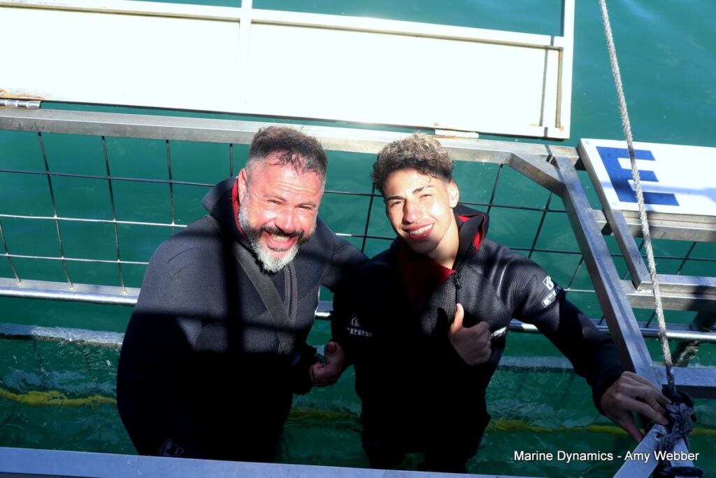 Shark cage diving, Gansbaai, South Africa