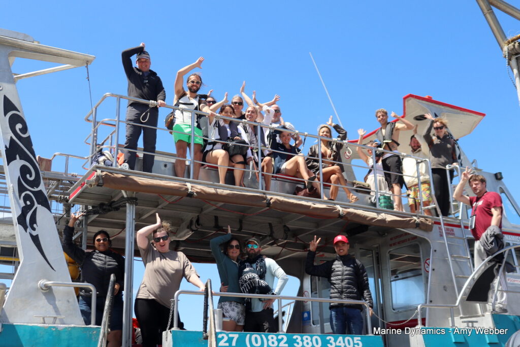 Shark cage diving, Gansbaai, South Africa