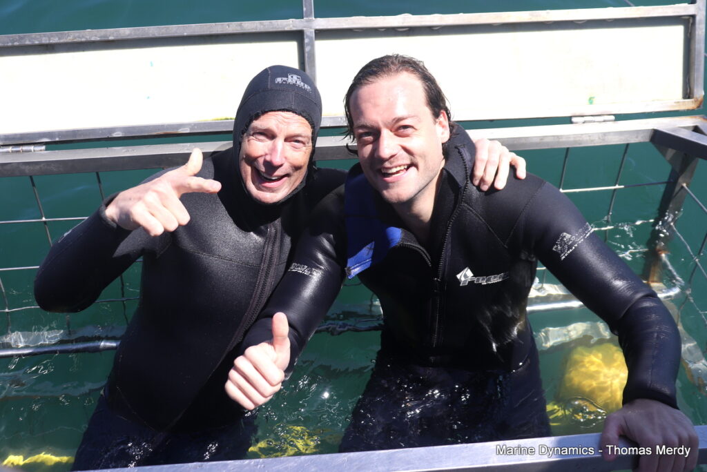 Shark cage diving, South Africa, Gansbaai