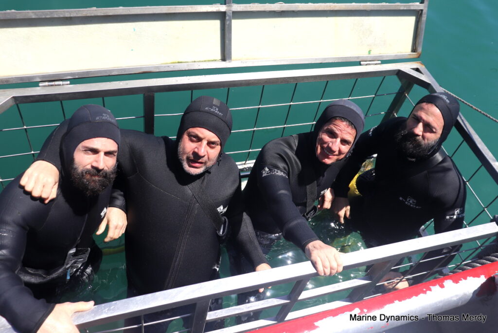 Shark cage diving, South Africa, Gansbaai