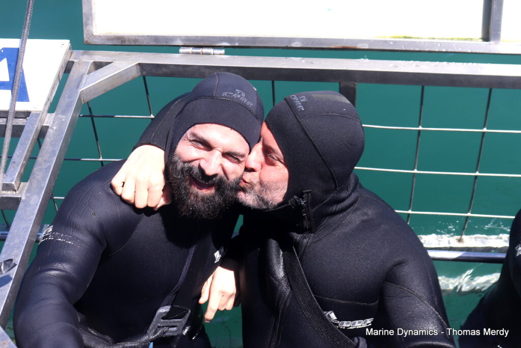 Shark cage diving, South Africa, Gansbaai