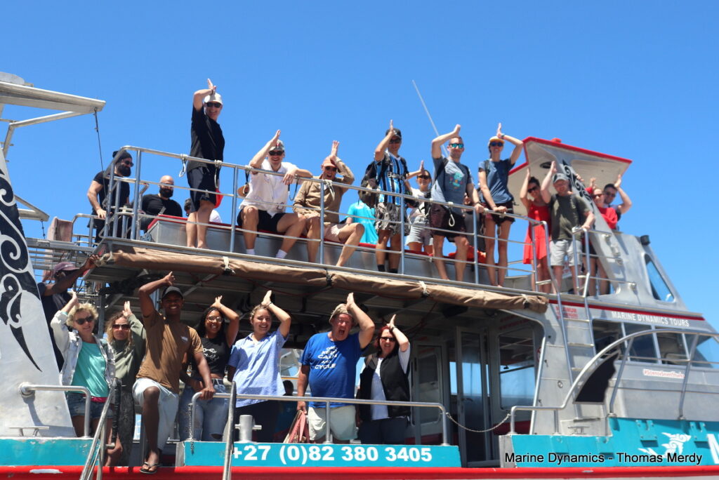 Shark cage diving, South Africa, Gansbaai