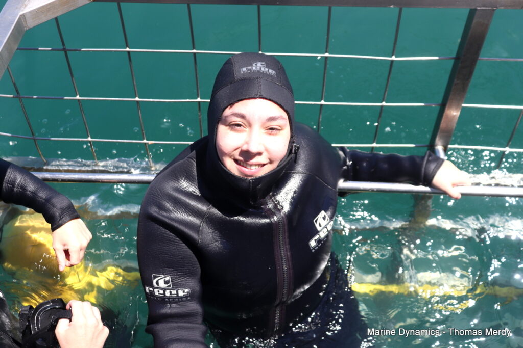 Shark cage diving, South Africa, Gansbaai