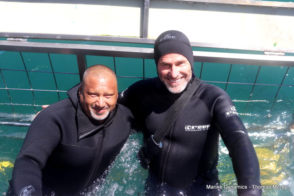 Shark cage diving, South Africa, Gansbaai