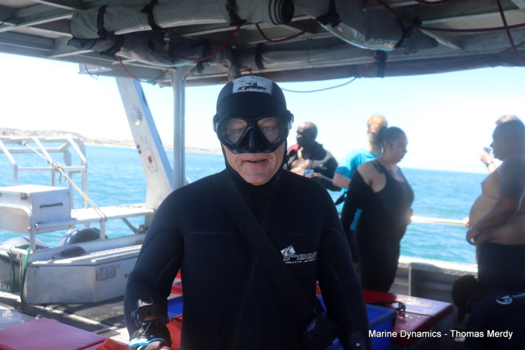 Shark cage diving, South Africa, Gansbaai