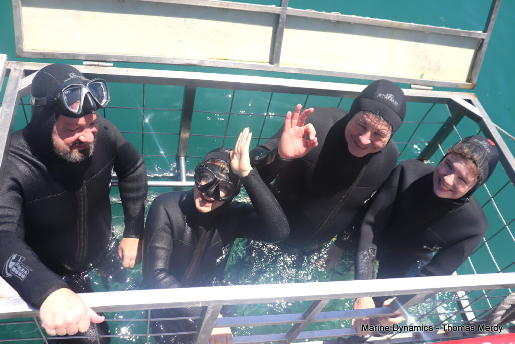Shark cage diving, South Africa, Gansbaai