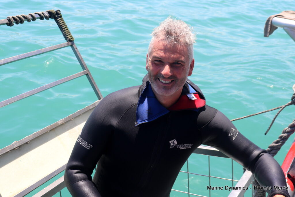 Shark cage diving, South Africa, Gansbaai