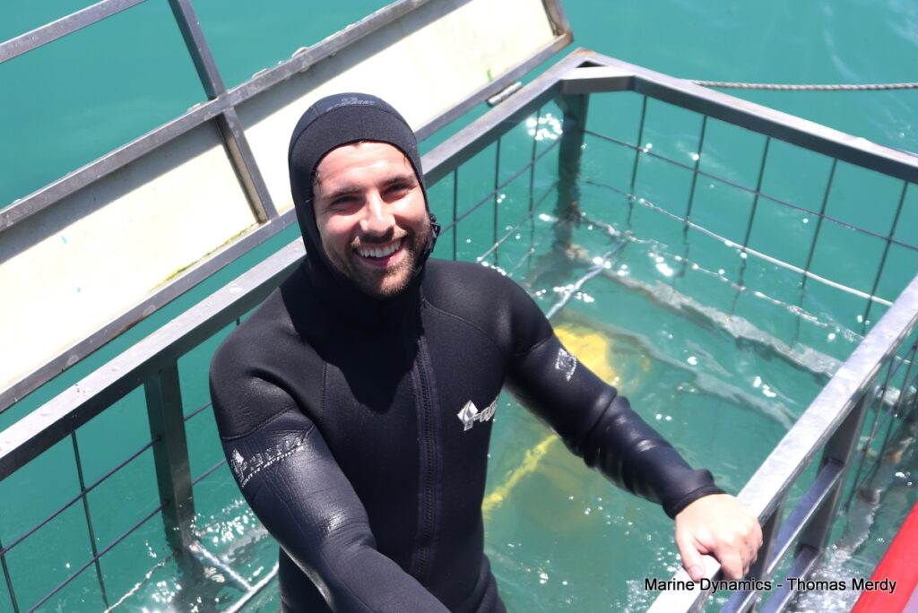 Shark cage diving, South Africa, Gansbaai