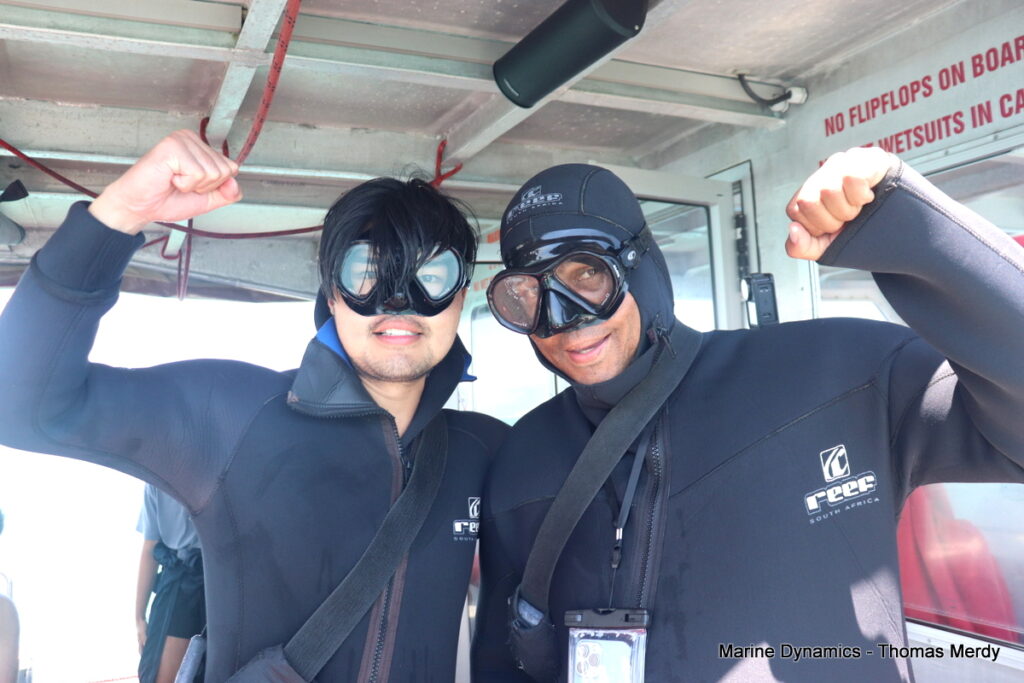 Shark cage diving, South Africa, Gansbaai