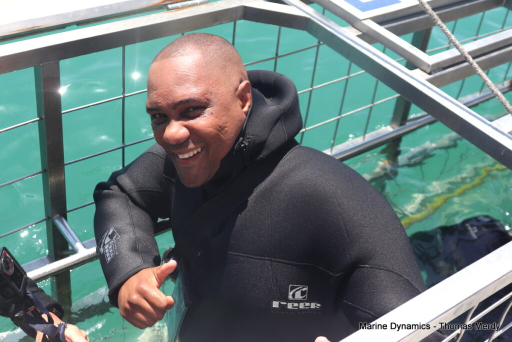 Shark cage diving, South Africa, Gansbaai