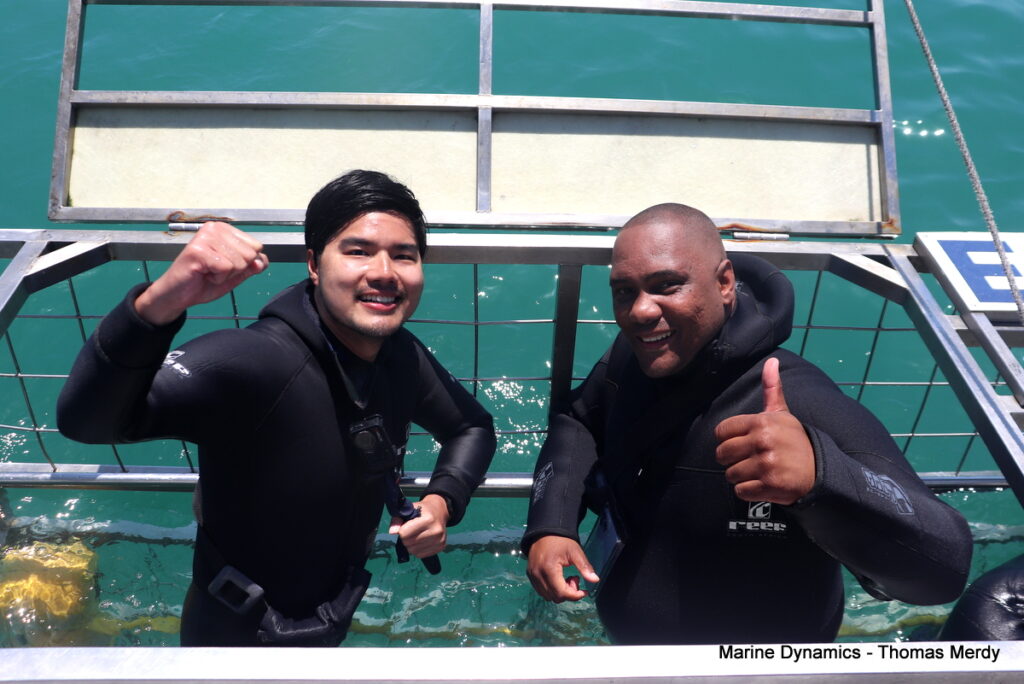Shark cage diving, South Africa, Gansbaai
