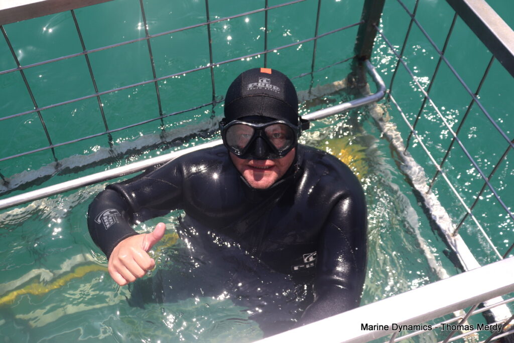 Shark cage diving, South Africa, Gansbaai