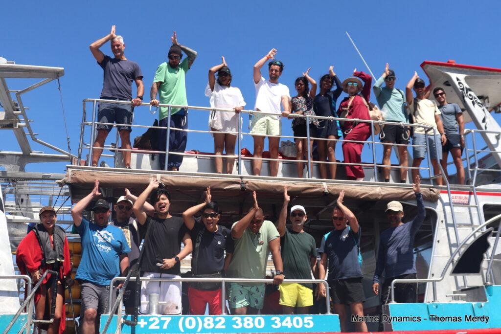Shark cage diving, South Africa, Gansbaai