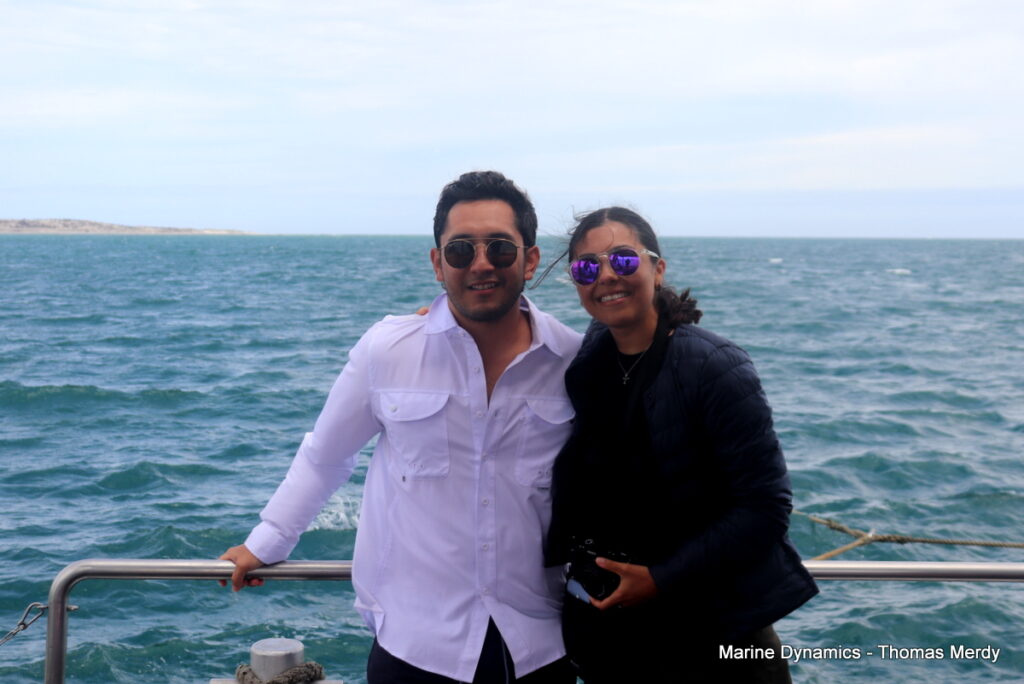Shark cage diving, South Africa, Gansbaai