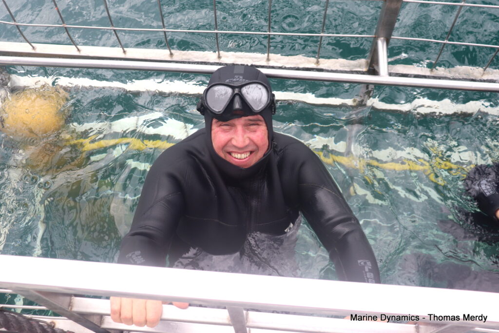 Shark cage diving, South Africa, Gansbaai