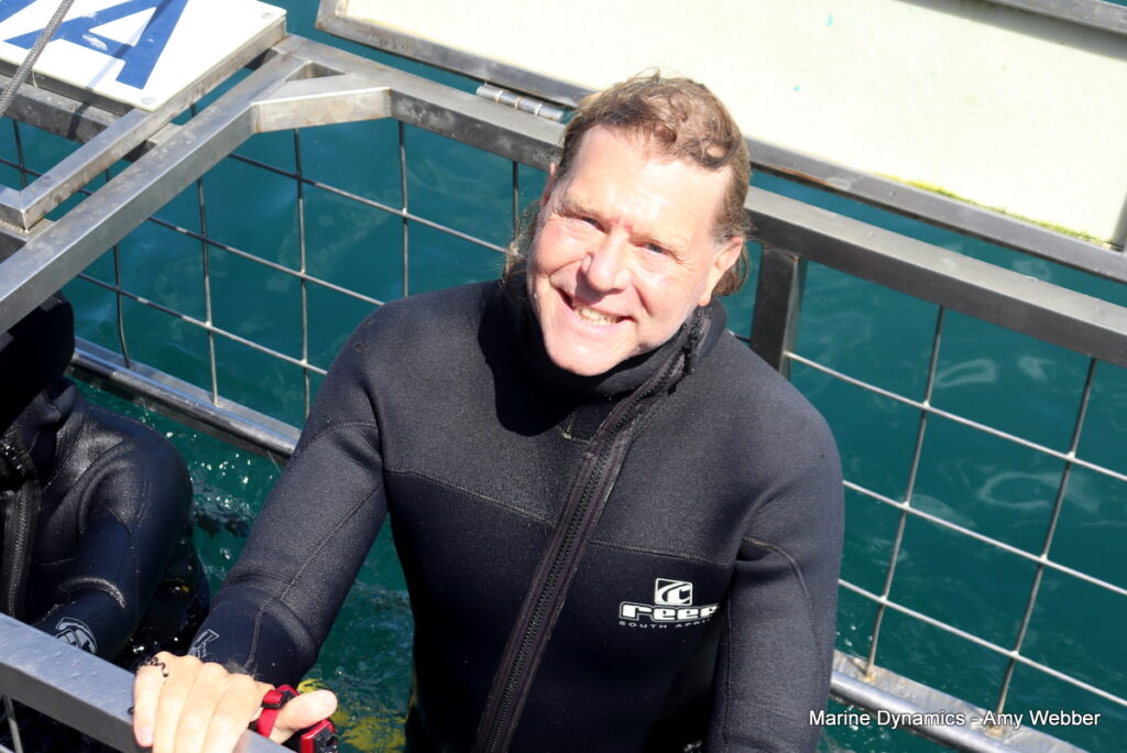 Shark cage diving, Gansbaai, South Africa