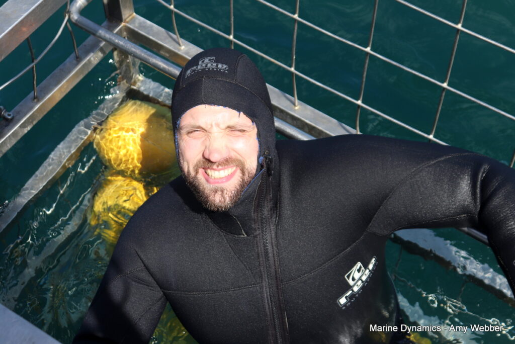 Shark cage diving, Gansbaai, South Africa