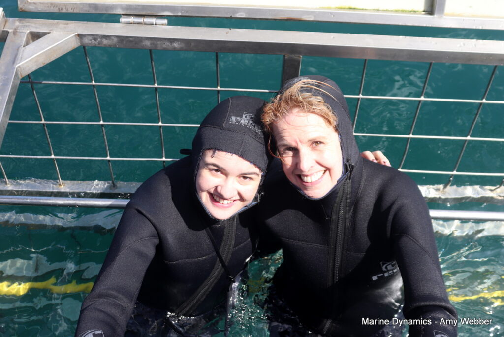 Shark cage diving, Gansbaai, South Africa