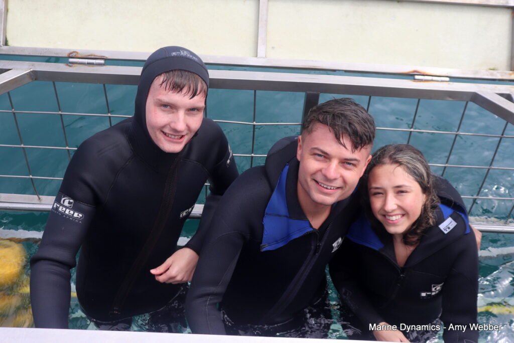 Shark cage diving, Gansbaai, South Africa