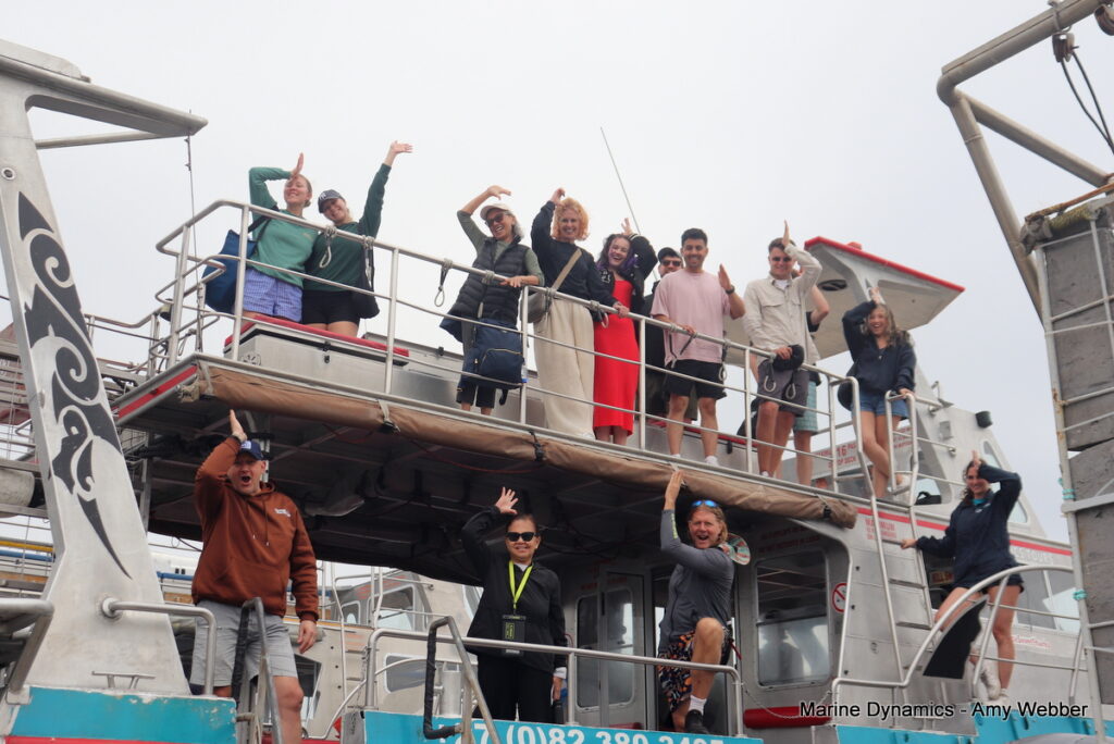 Shark cage diving, Gansbaai, South Africa