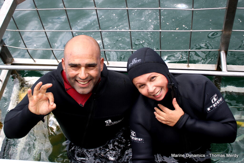 Shark cage diving, South Africa, Gansbaai