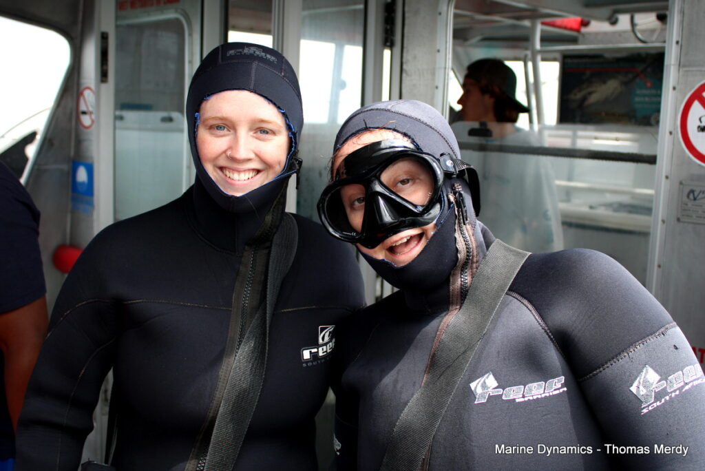Shark cage diving, South Africa, Gansbaai