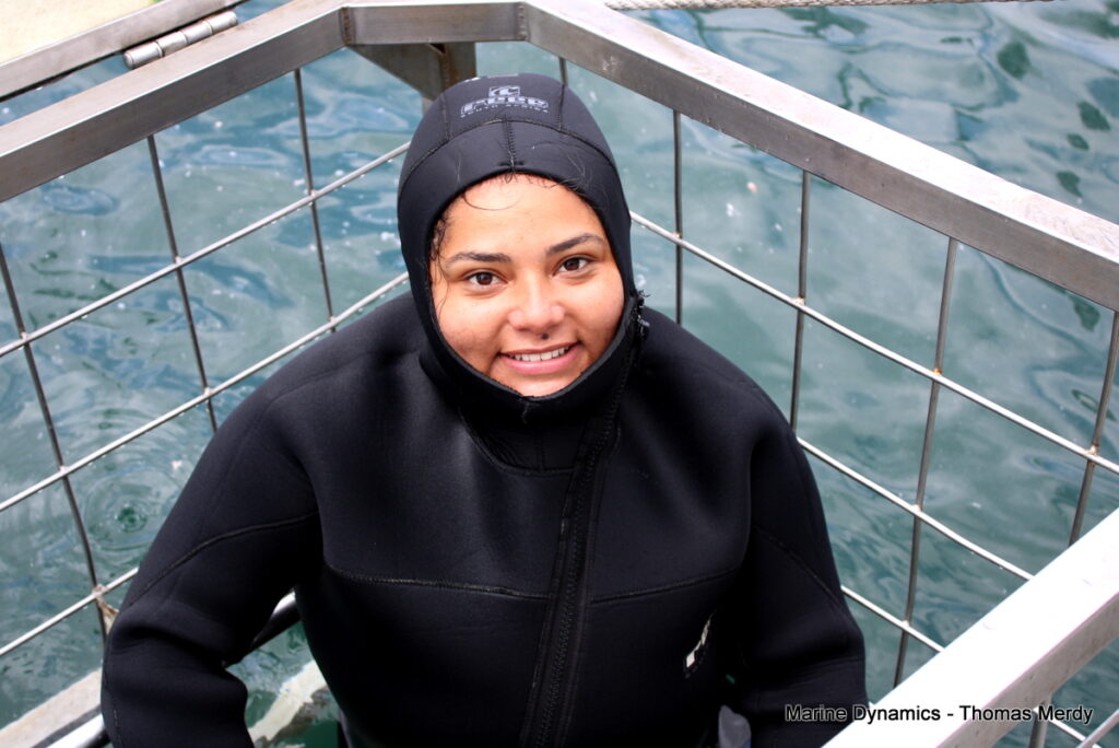 Shark cage diving, South Africa, Gansbaai