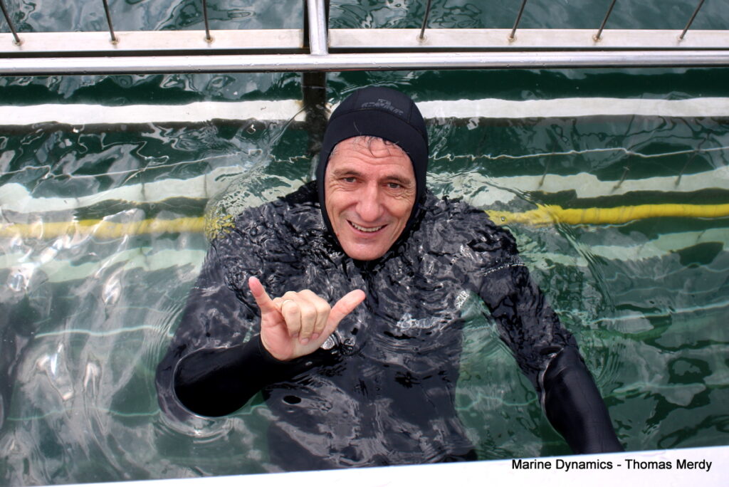 Shark cage diving, South Africa, Gansbaai