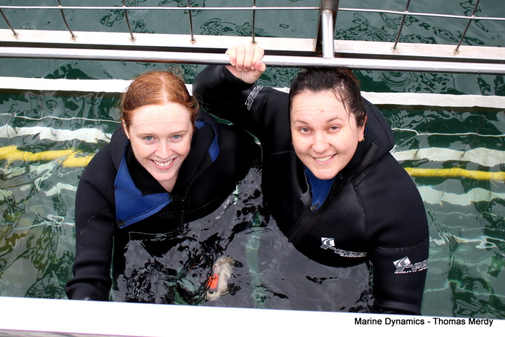Shark cage diving, South Africa, Gansbaai