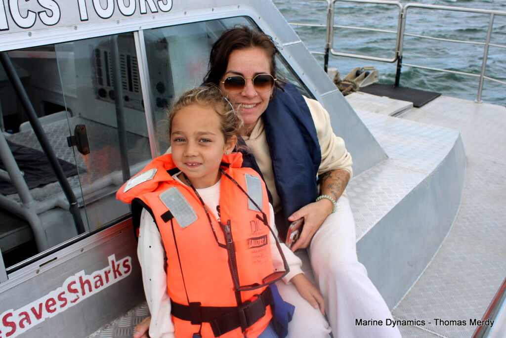 Shark cage diving, South Africa, Gansbaai