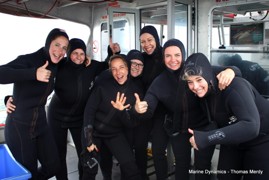 Shark cage diving, South Africa, Gansbaai